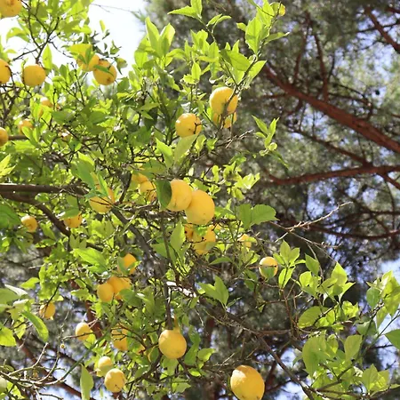 Paradiso 4* Castellammare di Stabia