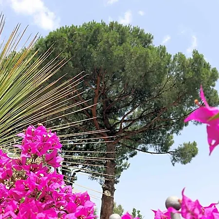 Hotell Paradiso 4*
